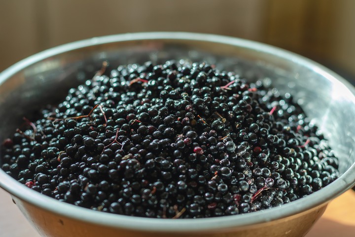 Nova zahrada - baza cierna